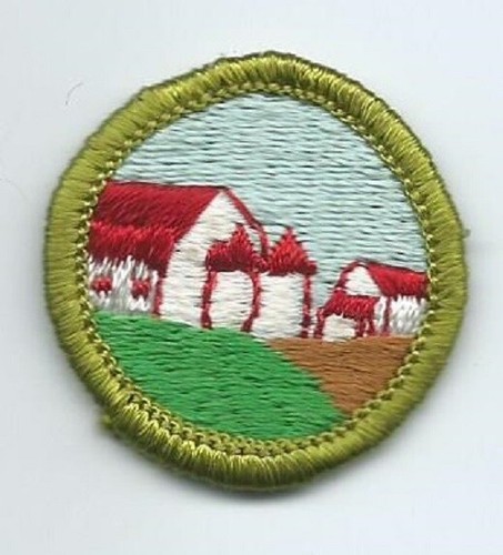 Picture 1 of 1