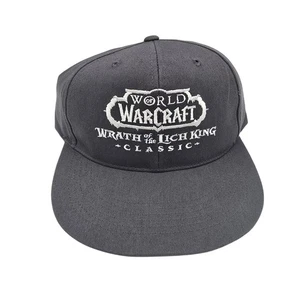 World of Warcraft Wrath of the Lich King Classic Grey Snapback Hat Cap Blizzard - Picture 1 of 8