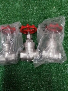 Sharpe 2114 Stainless Steel Gate Valve 1" - Picture 1 of 5