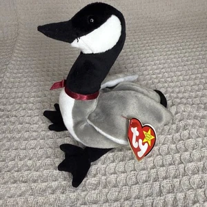 TY BEANIE BABY LOOSY BORN MARCH 29, 1998 WITH HANG AND TUSH TAG ERRORS - MWMT - Picture 1 of 4