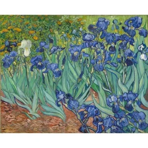 Malen nach Zahlen Erwachsene Kinder Iris Van Gogh DIY Malset 40x50CM Leinwand - Bild 1 von 10
