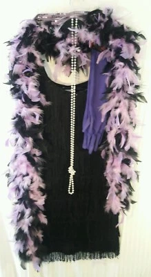 Disfraz FLAPPER Años 20 Flecos Negros con Boa de Plumas - Collar - Guantes - Banda para el Cabello Foto 1 de 4