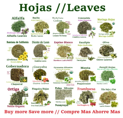 Hojas Alfalfa Consuelda Damiana Espino Blanco Olivo Ortiga Pinguica Gymnema Tila Foto 1 de 4