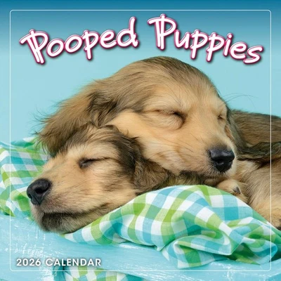 Pooped Puppies 2026 Mini Wall Calendar, Cute & Funny Dog  - Image 1 of 4