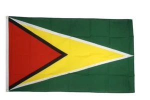 Guyana Hissflagge guyanische Fahnen Flaggen 60x90cm - Bild 1 von 1