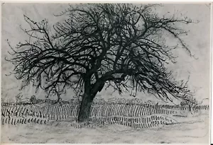 Piet MONDRIAN c. 1960 - Boom - AR.P. 22 - Bild 1 von 2