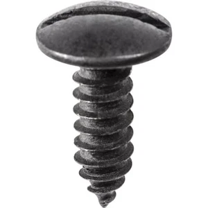 Auveco 1/4" x 3/4" Slotted Truss Head Black License Plate Screws, 100pk - Foto 1 di 2