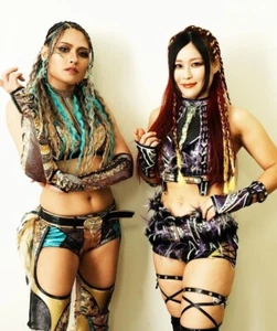 Foto Giulia 8x10 Io Sky Calendula NJPW AJPW NXT WWE STARDOM WRESTLING - Foto 1 di 1