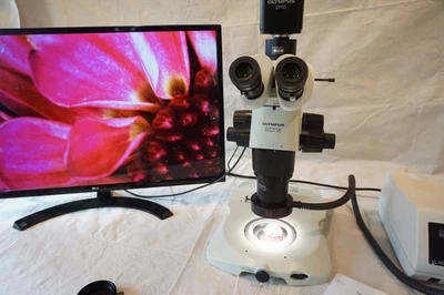 Olympus SZX16 Stereomicroscope with EP50 Camera Transmitted Light Base Pol - Image 1 of 4