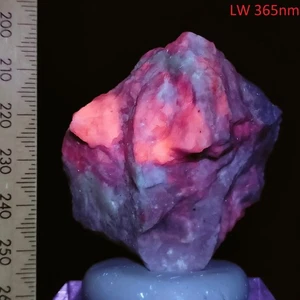 Fluorescent Hackmanite tenebrescent colour change mineral Afghanistan 399ct - Foto 1 di 13