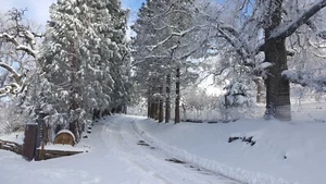LOG CABIN VACATION RENTAL TEHACHAPI CA FOR PET LOVERS & PCT HIKERS! - Picture 1 of 21