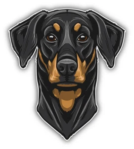 Dobermann Pinscher Kopf Maskottchen Auto Autoaufkleber Aufkleber - ''GRÖSSEN'' - Bild 1 von 1