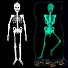 Dekoracja ogrodu Halloween Świecący szkielet Straszna czaszka Glow in the Dark