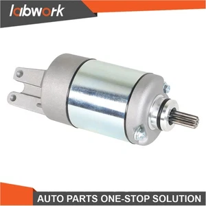 Labwork For Honda Big Red 700 MUV700 31200-HL1-A01 Starter Motor 2009-2013 - Picture 1 of 10