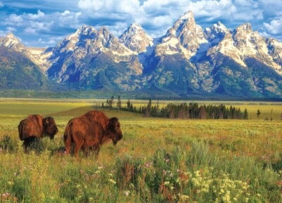Eurographics Grand Teton National Park 1000 Piece Jigsaw Puzzle - Image 1 of 2