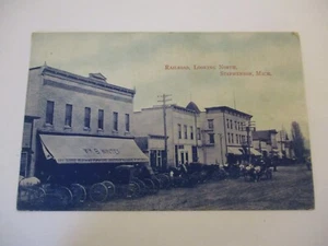 Antique 1909 Postcard Stephenson Michigan Railroad Horse Carriage General Store - Picture 1 of 2