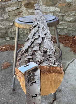 72,5 pol. varas de nogueira/fabricação de arco de madeira/barco - Imagem 1 de 4