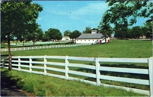 Postal publicada Horse Farm Bluegrass Region Lexington Kentucky - Imagen 1 de 2