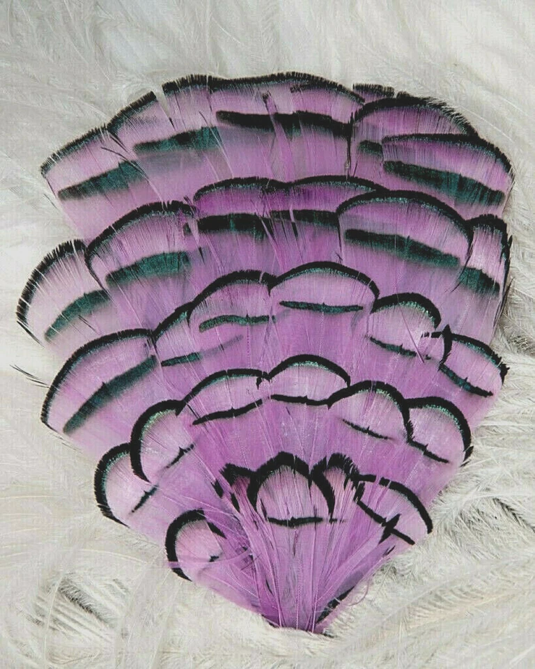 Lavender Amherst Pheasant Feather Pad Hat Headband Purse Sew or Glue on     - Image 1 of 1