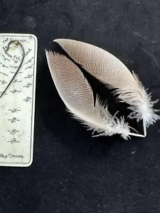 Premuim Jumbo Bronze Mallard Duck feathers - Picture 1 of 2