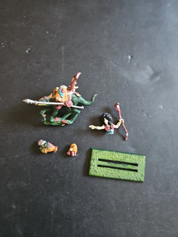 Dark Elf Elves MM74 Heroes Marauder Sorceress Cold One Rider Warhammer Fantasy  - Image 1 of 4