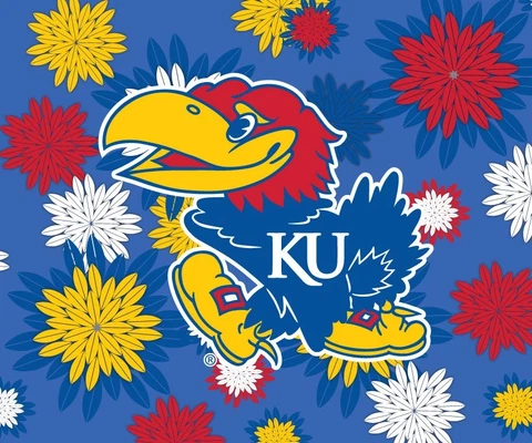 KANSAS 5" X 6" FLORAL MAGNET-KANSAS JAYHAWKS CAR MAGNET-NEW FOR 2016 Cover