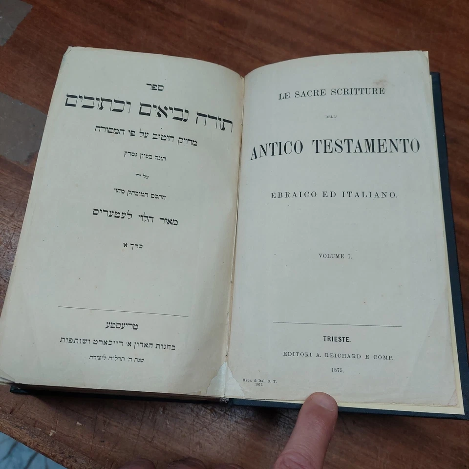(Ebraico Italiano) Antico Testamento Cinque libri di Mose 1875 Reichard e Comp - Immagine 1 di 1