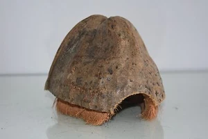 Terrario 100% Natural Coco Cáscara Ocultar Seco Seguro Tamaño Aprox. 17x15x11 CM - Imagen 1 de 5