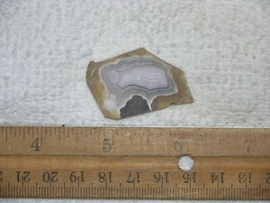 Laguna ágata geoda corte rebanada México 3/4 x 1 pulgada G302 - Imagen 1 de 1