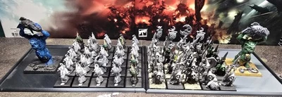 夜妖精军队(骷髅通行证之战)近乎完好 (B038) 含机芯托盘 — 第 1/3 张图片