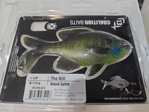 13 Cebo de pesca de plástico blando para lubina 5,25" Cebo de coalición Pez luna natural 1,5 oz - Imagen 1 de 8