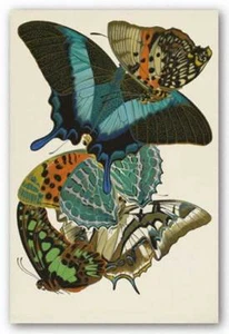 Sammlung (Schmetterlinge) III Winterwerke Kunstdruck 12x8 - Bild 1 von 1