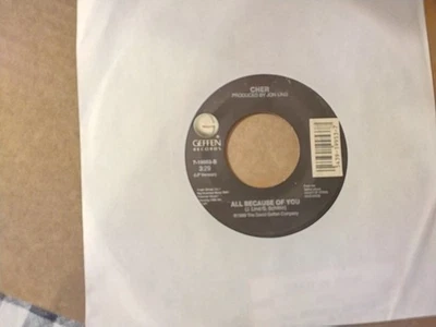 Geffen 45 RPM Record, Cher ,All Because Of You, Heart Of Stone Vg Foto 1 de 3