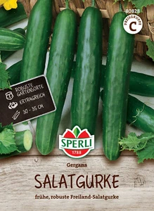 Salatgurke 'Gergana' - Cucumis sativus, robuste Freiland Gurken Samen, 80828 - Bild 1 von 2