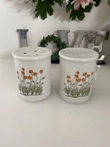 Takashi Ceramic Salt and Pepper Shakers Orange Flowers - Picture 1 of 19