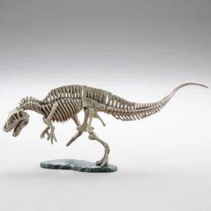 Kaiyodo Cápsula Q Carnívoro Más Fuerte ACROCANTOSAURIO Esqueleto Modelo Figura L - Imagen 1 de 1