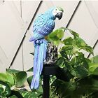 Parrot Outdoor Solar Light, Garden Decoration LED Light,Waterproof,Resin Parrot 