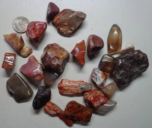 WRG- Rainbow Wood Honey Agate Petrified Wood Jasper Tumbled Specimen 5.4 Oz - Picture 1 of 2