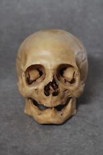 Réplique crâne humain ultra réaliste ostéologie médical curiosité Human skull