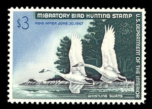 MOMEN: US STAMPS #RW33 DUCK MINT OG NH PSE GRADED CERT XF-SUP 95 LOT #90085 - Picture 1 of 3