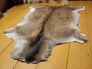 Alfombra alfombra grande europea piel de ciervo rojo piel piel taxidermia decoración del hogar - Imagen 1 de 12