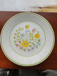 Corelle Spring Meadow 8 1/2 Zoll Durchmesser Mittagessen Teller - Bild 1 von 2