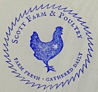 SILKY 12 Purebred Bearded Silkie Hatching Eggs