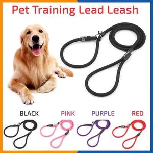Dog Training Lead Slip Rope Leash Strong Nylon Puppy Collar for Walking - Picture 1 of 14