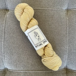 Ritual Dyes Yarn Priestess February Wild Carrot 218 Yards Hank Fine Merino Wool - Picture 1 of 5