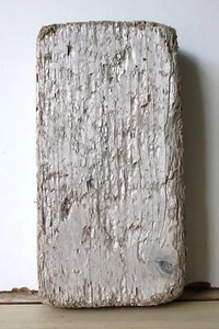 Madera flotante Driftwood 1 tabla gruesa estante decoración 23,5 cm *404* - Imagen 1 de 11