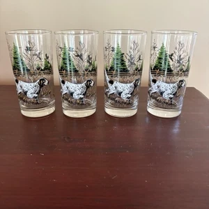 4 Libbey On Point Highball Glasses Hunting German Shorthair Pointer Dog - Picture 1 of 5