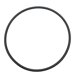 Pentair Max-E-Pro Pool Pump Body Seal Plate Gasket Part U9-228A Genuine - Picture 1 of 7