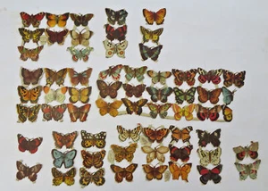 Chromolithographed Butterflies Arts & Crafts Decorations c. 1890's Lot - Picture 1 of 8