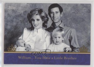 2011 Royal Wedding Princess Diana King Charles III Prince William Harry #15 2ra